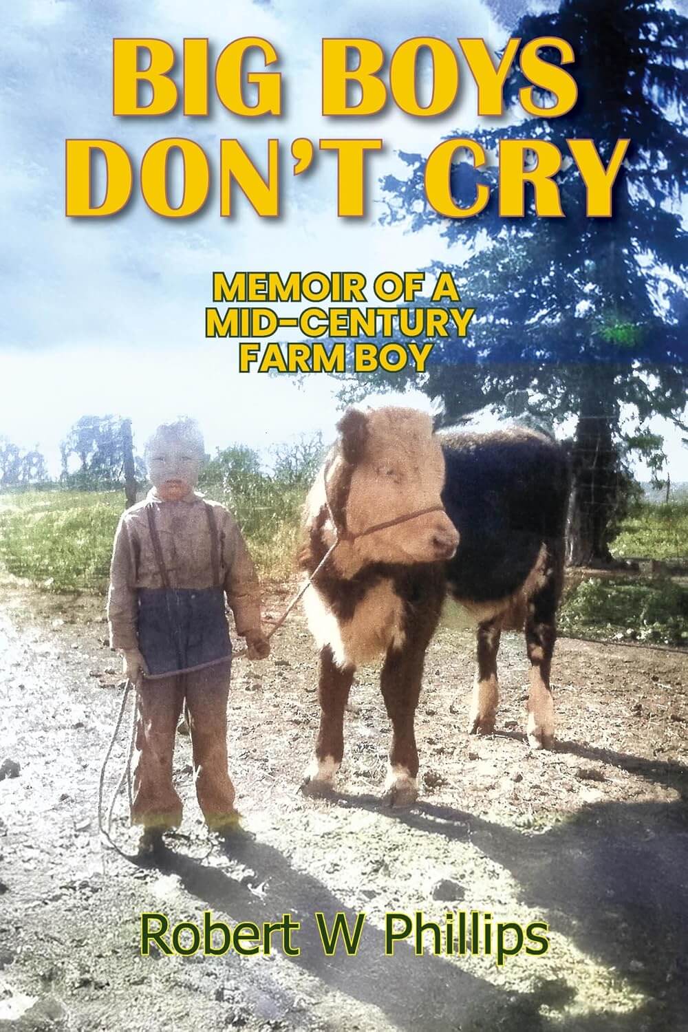 Home Book cover of Big Boys Don't Cry by Robert W. Phillips